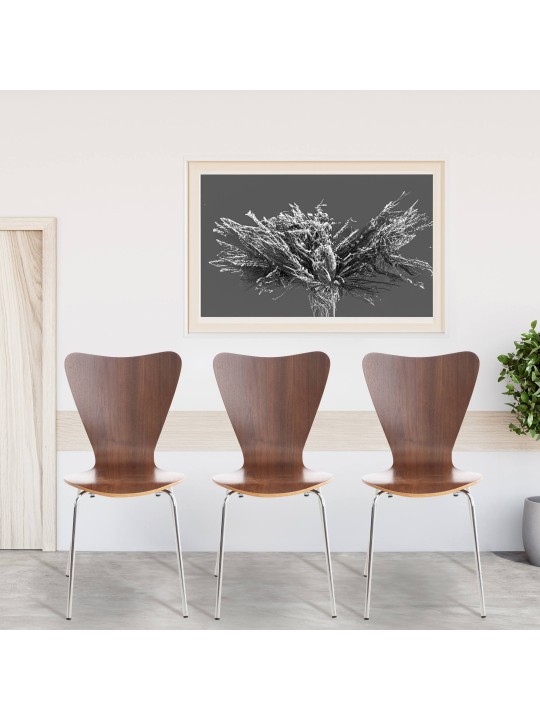 2 db Calisto látogatói szék készlet, dió